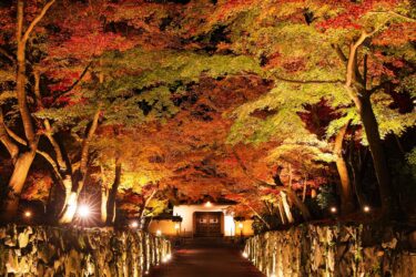 2024 年 10 月京都宇治的活动以及身着和服的旅游景点